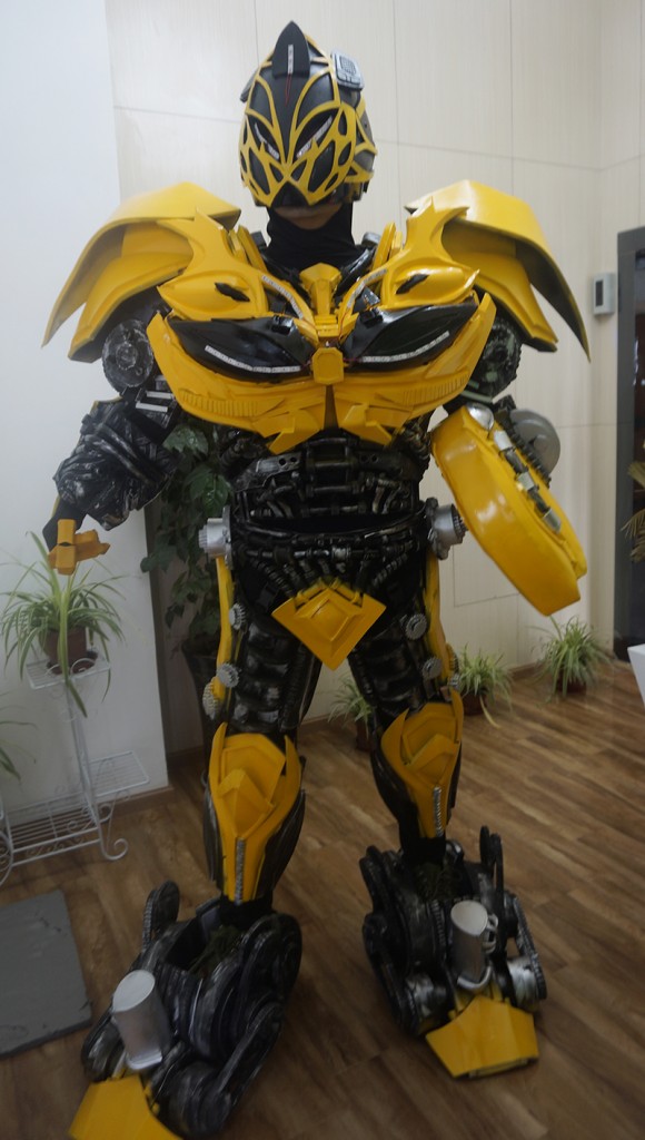 Bumblebee with Robot Networks Ireland